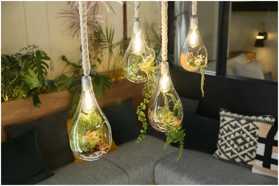 BOTANIC HANGING LIGHT